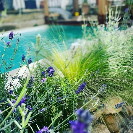 Guest house Le Jardin 3*